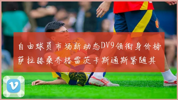 自由球员市场新动态DV9领衔身价榜萨拉赫桑乔格雷茨卡斯通斯紧随其后
